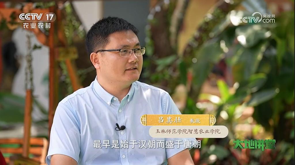 医生掀开奶罩边躁边狠狠躁视频
